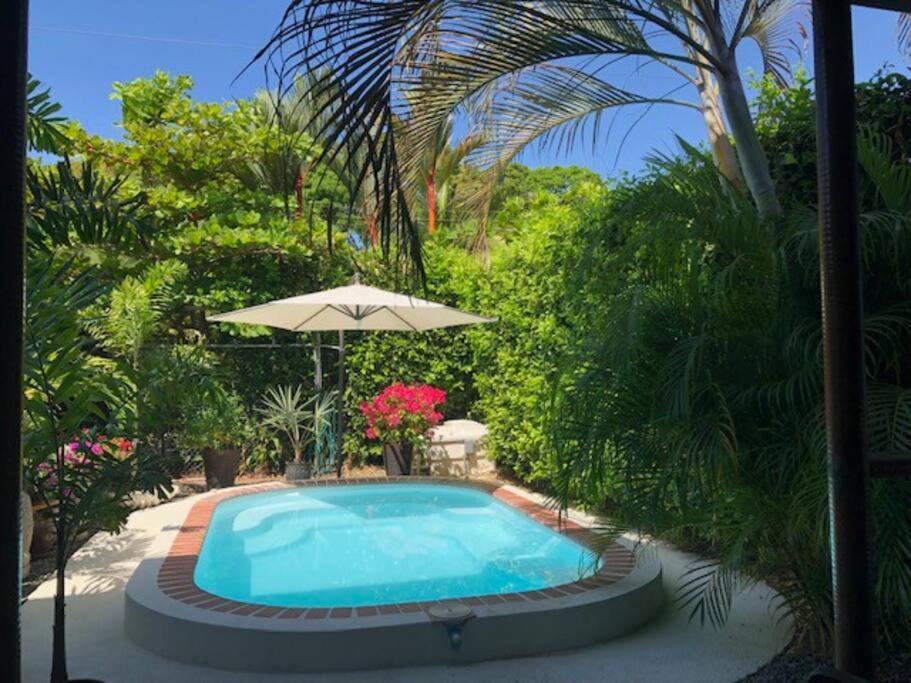 Casa Toucan Mit Privat Pool Near Np Ballena Uvita Exterior photo