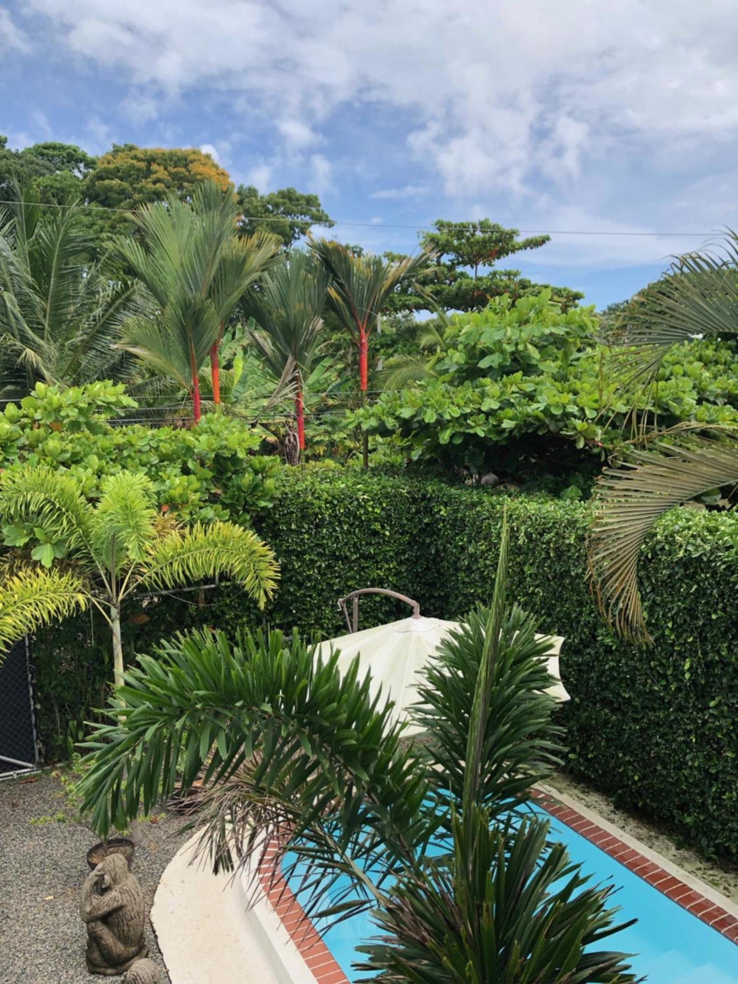 Casa Toucan Mit Privat Pool Near Np Ballena Uvita Exterior photo